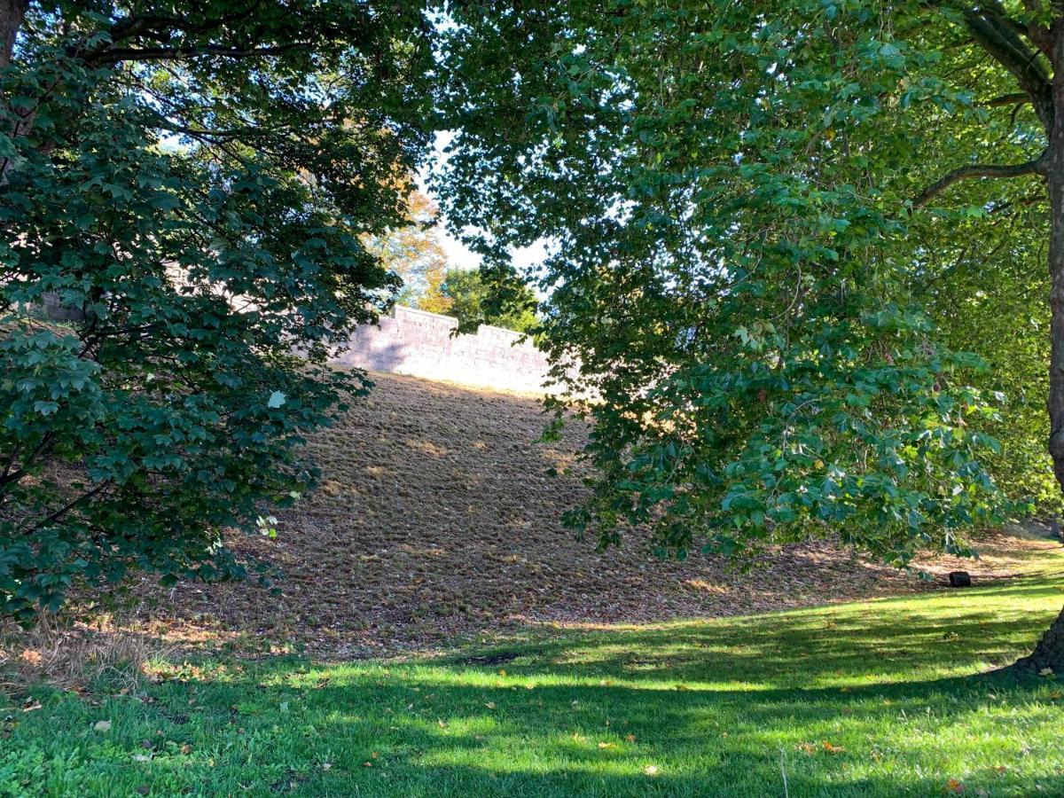 Stay In The Heart Of York At The Hampden - Free Parking - York Holiday Home 외부 사진