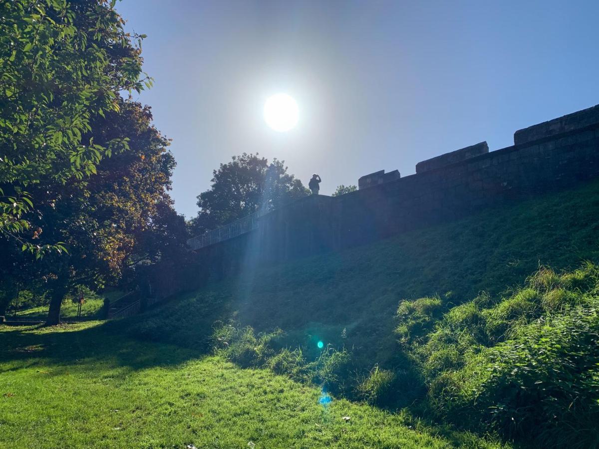Stay In The Heart Of York At The Hampden - Free Parking - York Holiday Home 외부 사진